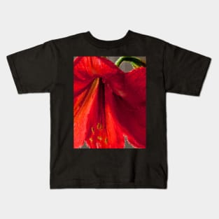 Vibrant red amaryllis Kids T-Shirt